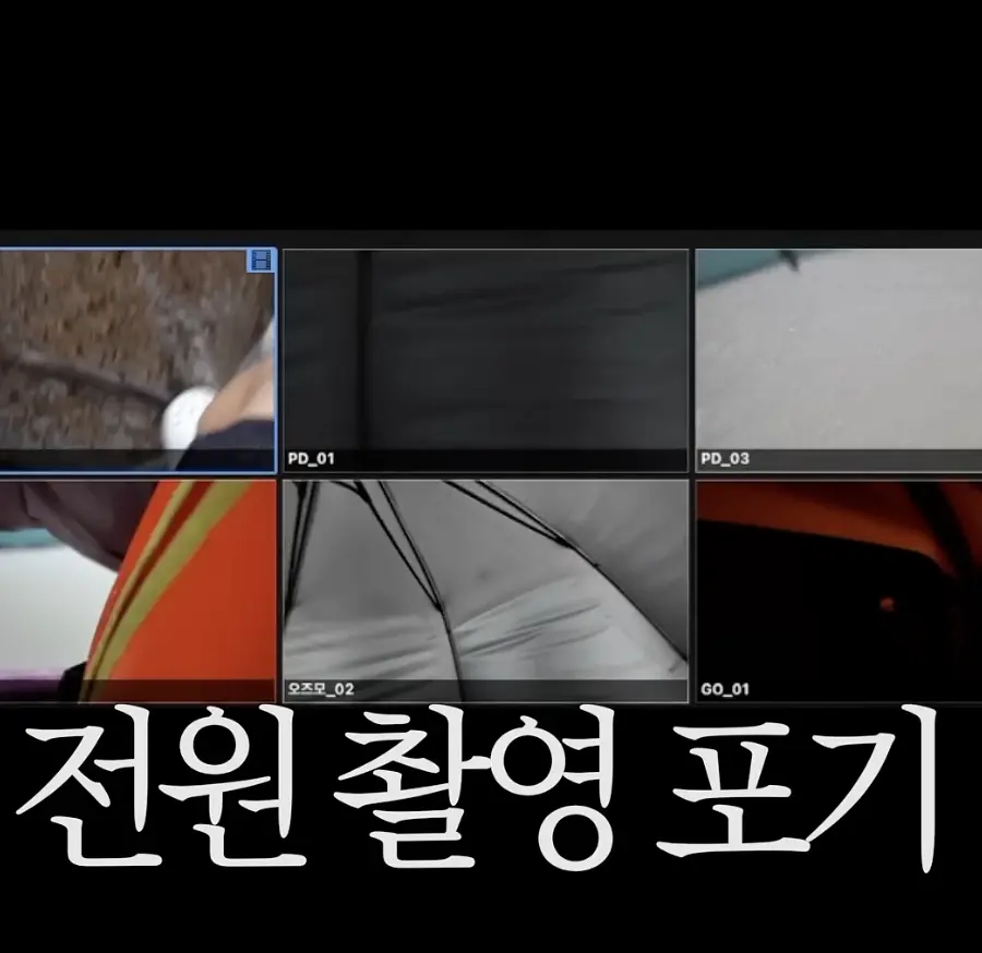 퀘이사존