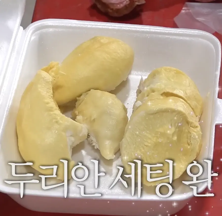 퀘이사존