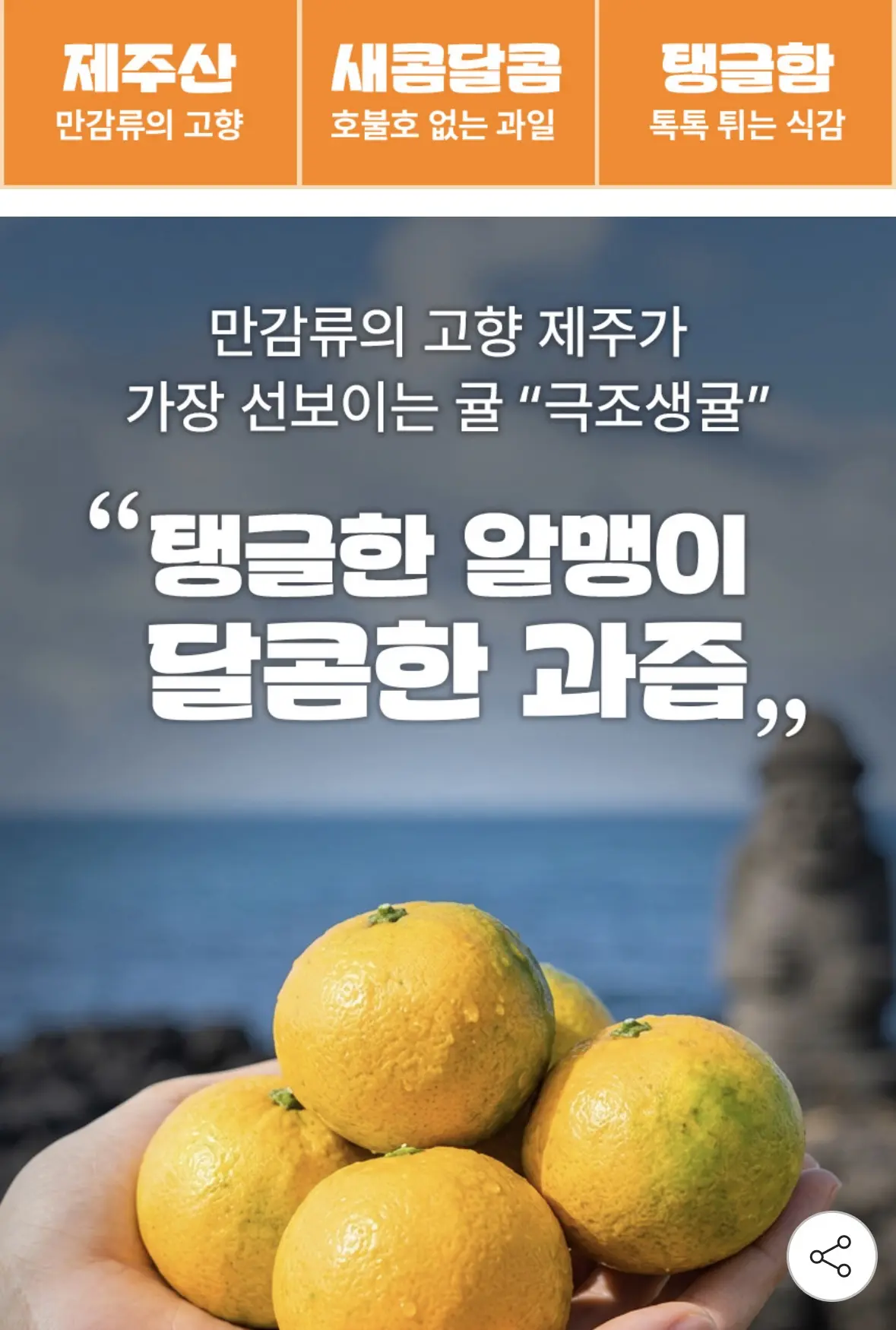 제주 노지 극조생귤 로얄과(S) 10kg