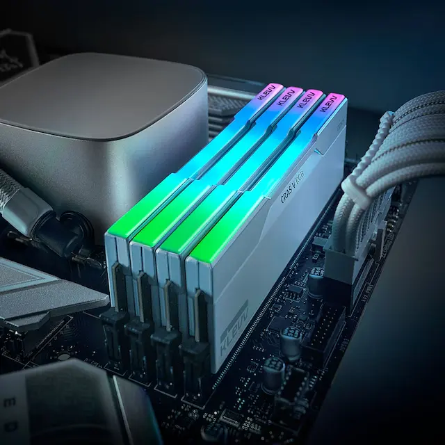 ํด๋ ๋ธ DDR5ยทํ๋ ํ North XL ํ ์ธ! ์ฒซ๊ตฌ๋งค 10% ์ฟ ํฐ + ๋ค์ด๋ฒํ์ด 5%