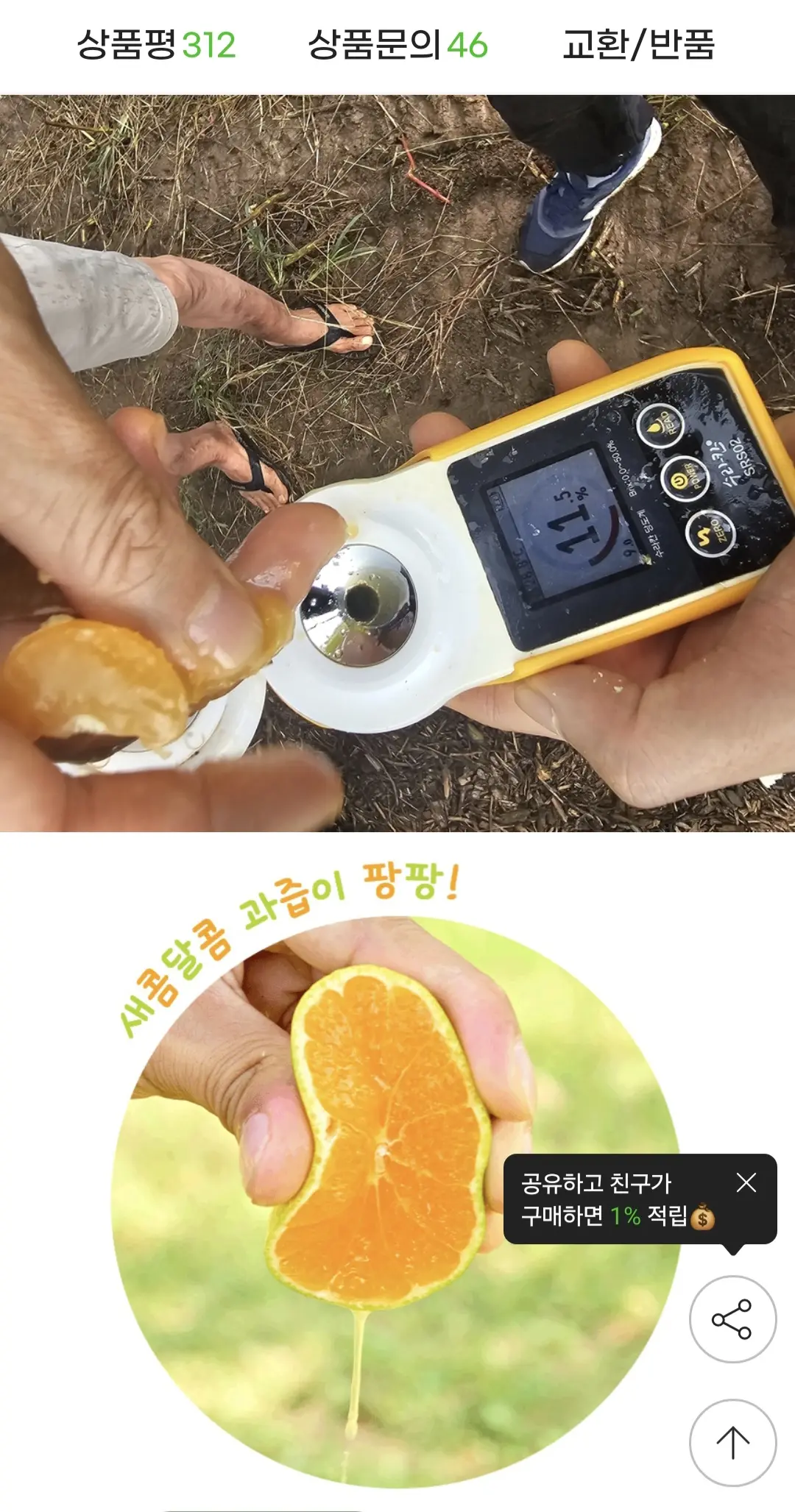 제주 타이벡 햇 노지 감귤 혼합과 5kg
