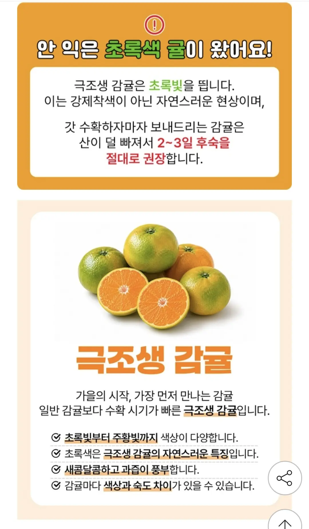 제주 타이벡 햇 노지 감귤 혼합과 5kg