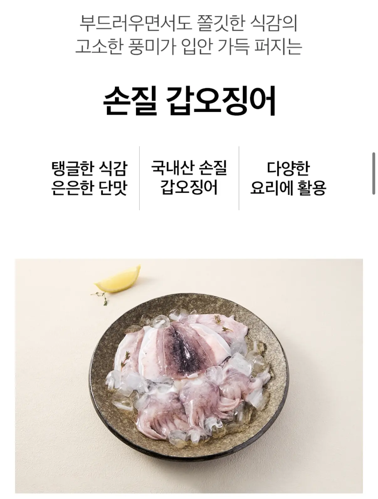 아침애딴 국내산 손질 중갑오징어 1kg