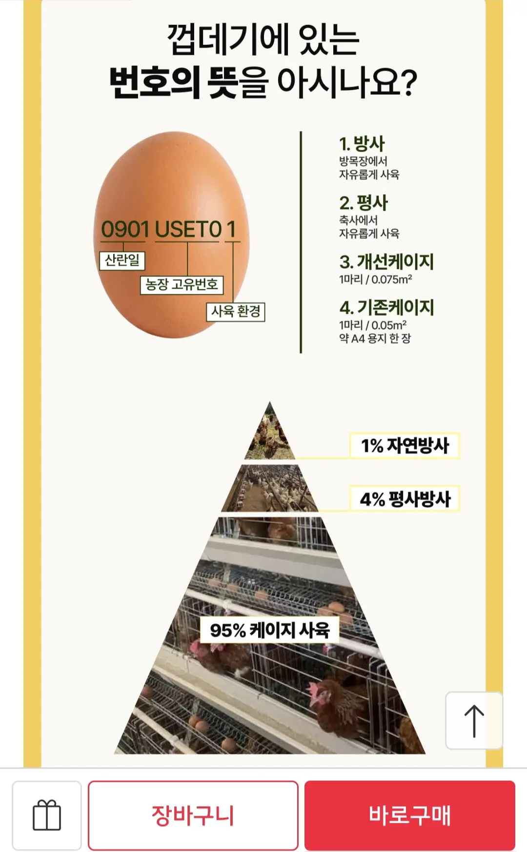 난각번호 1번 계란 40구