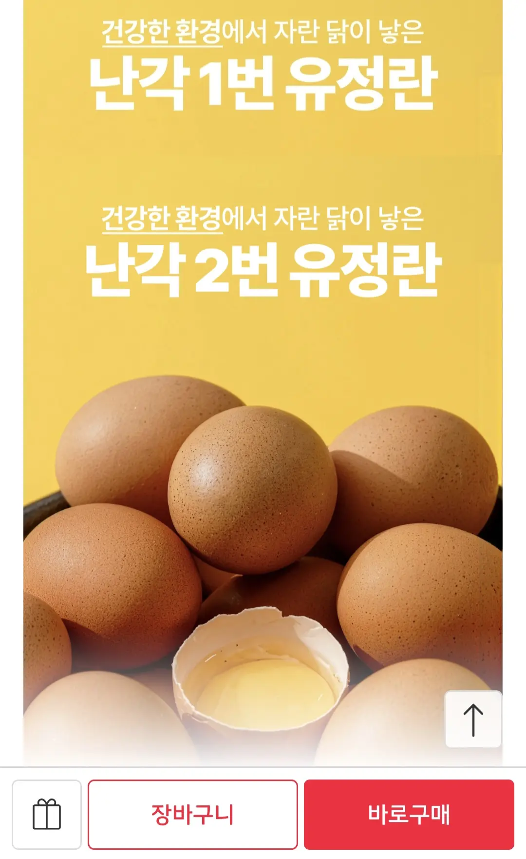 난각번호 1번 계란 40구