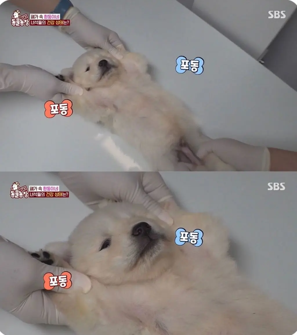 퀘이사존