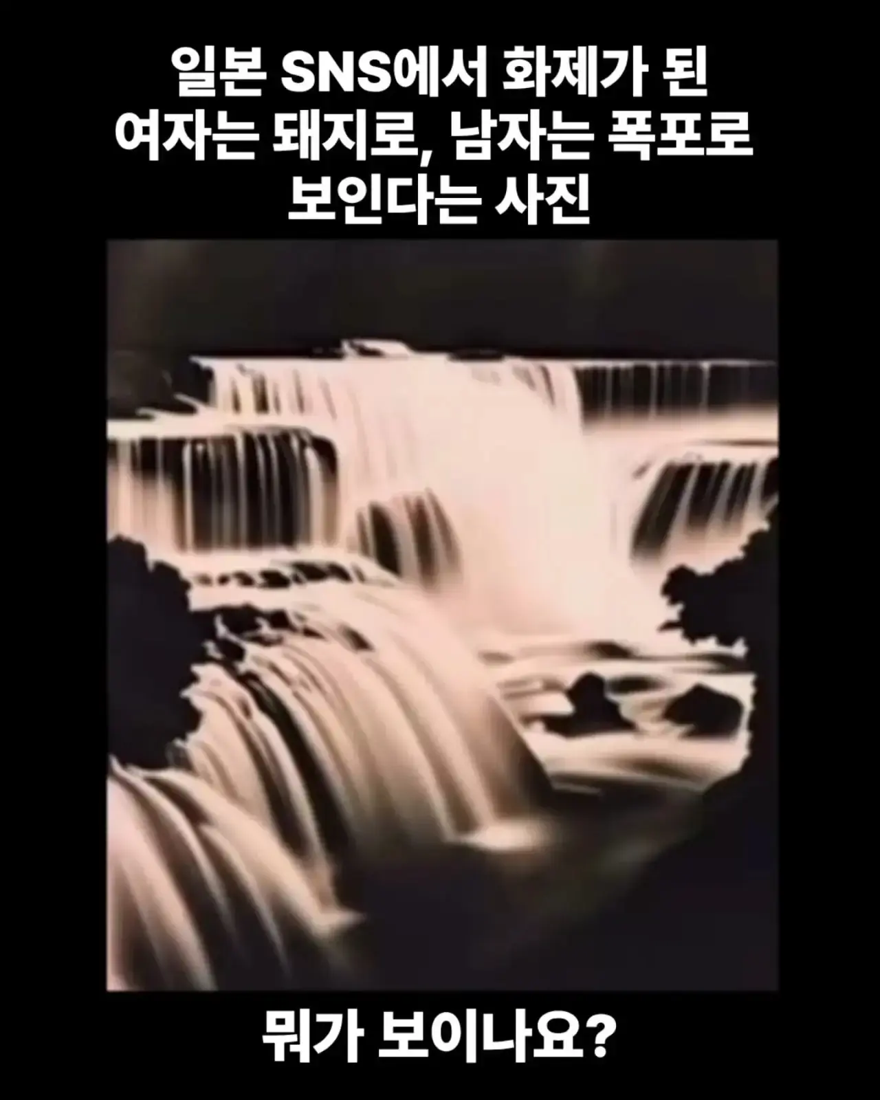 퀘이사존