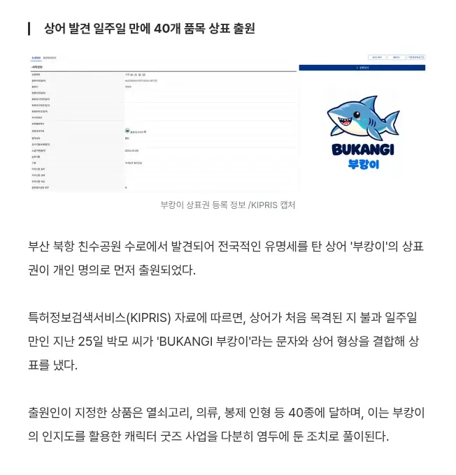 퀘이사존