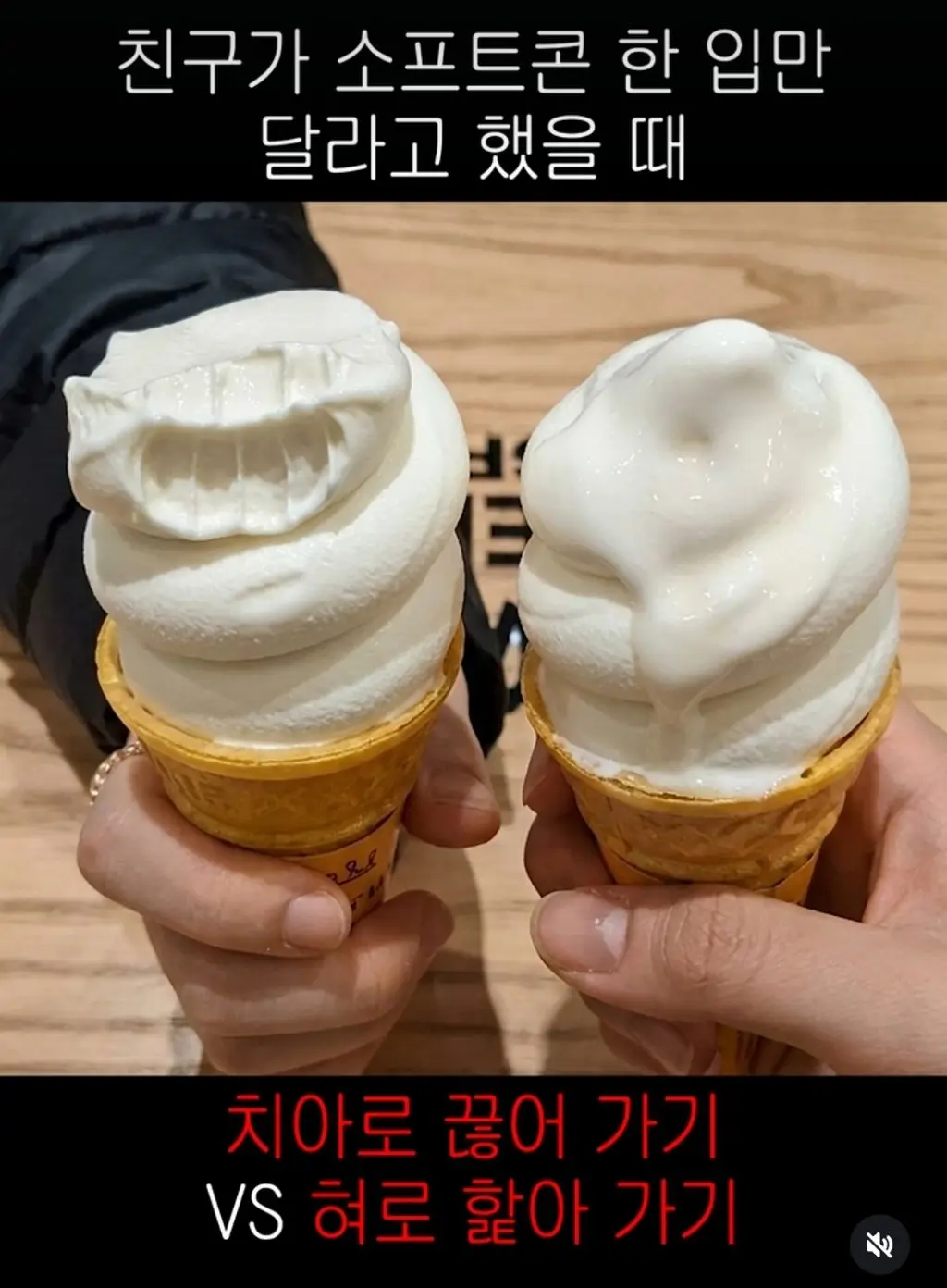 퀘이사존