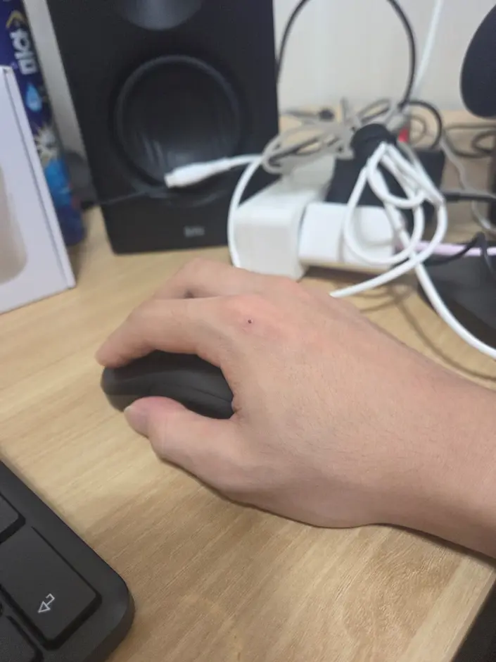 퀘이사존