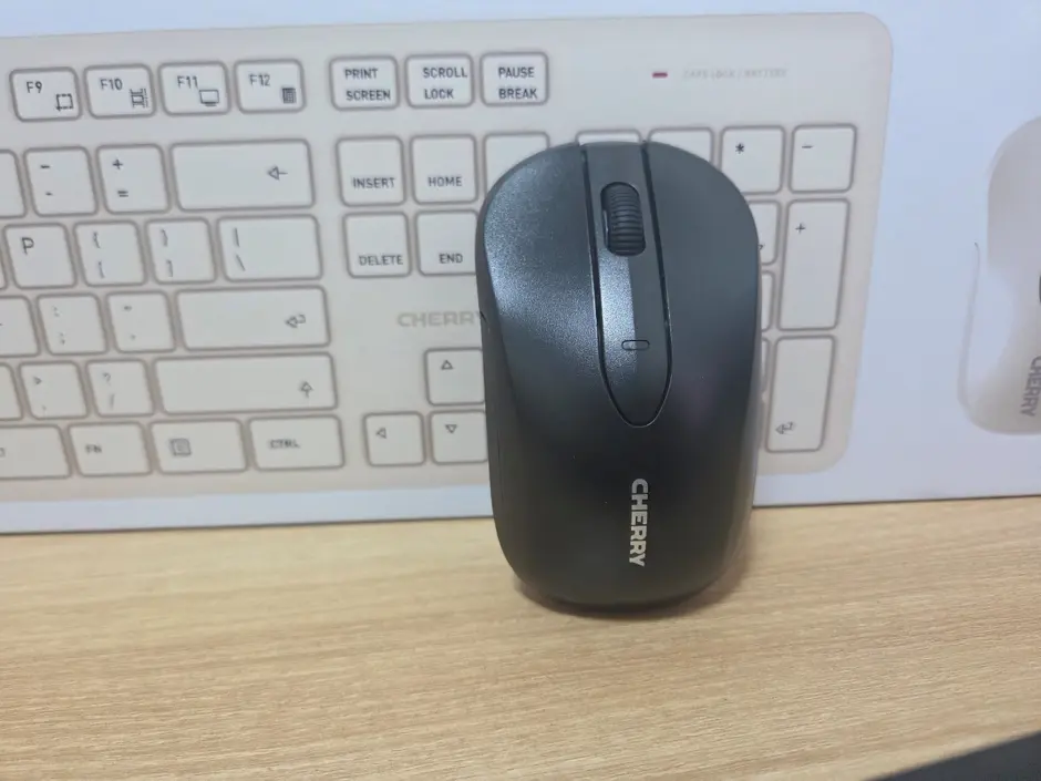 퀘이사존