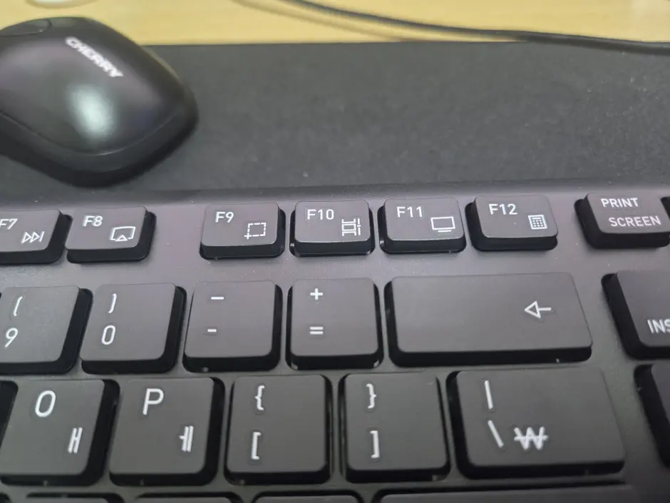 퀘이사존