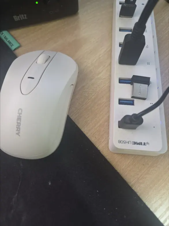 퀘이사존
