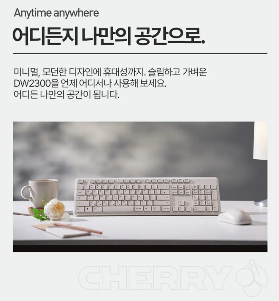 퀘이사존