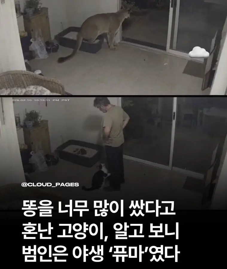 퀘이사존