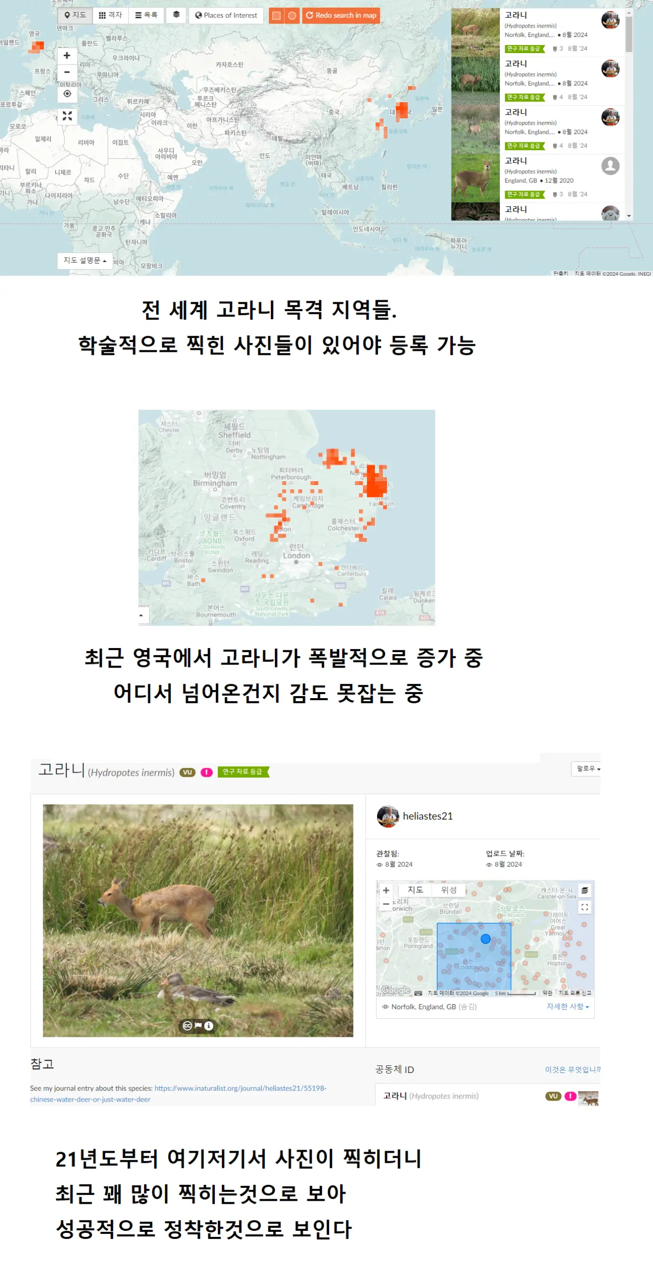퀘이사존