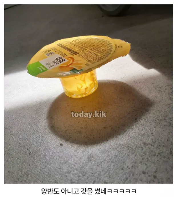퀘이사존