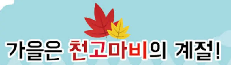 퀘이사존