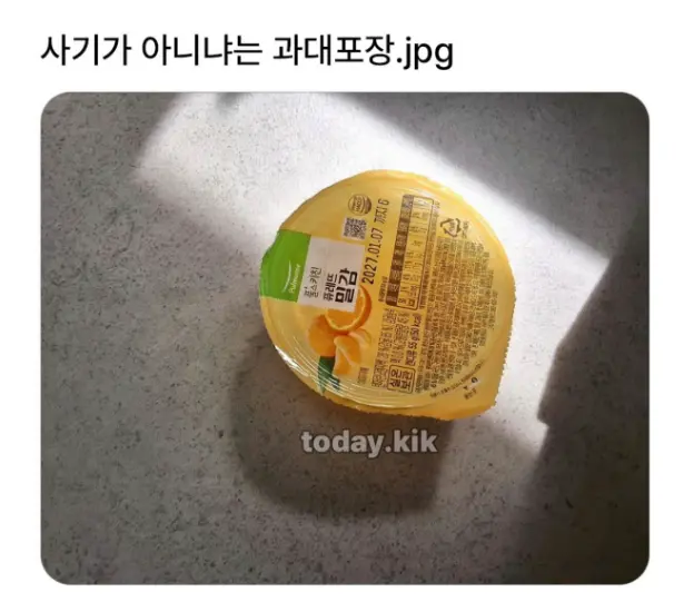퀘이사존