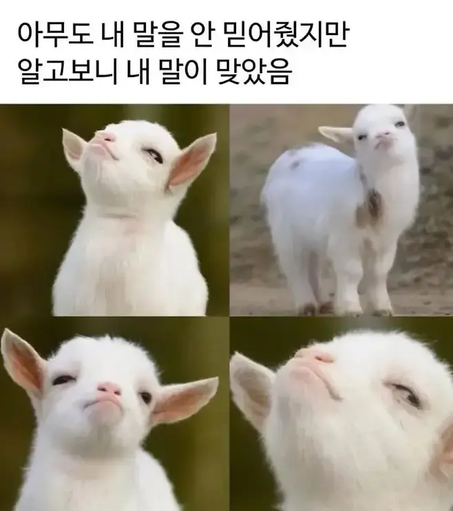 퀘이사존