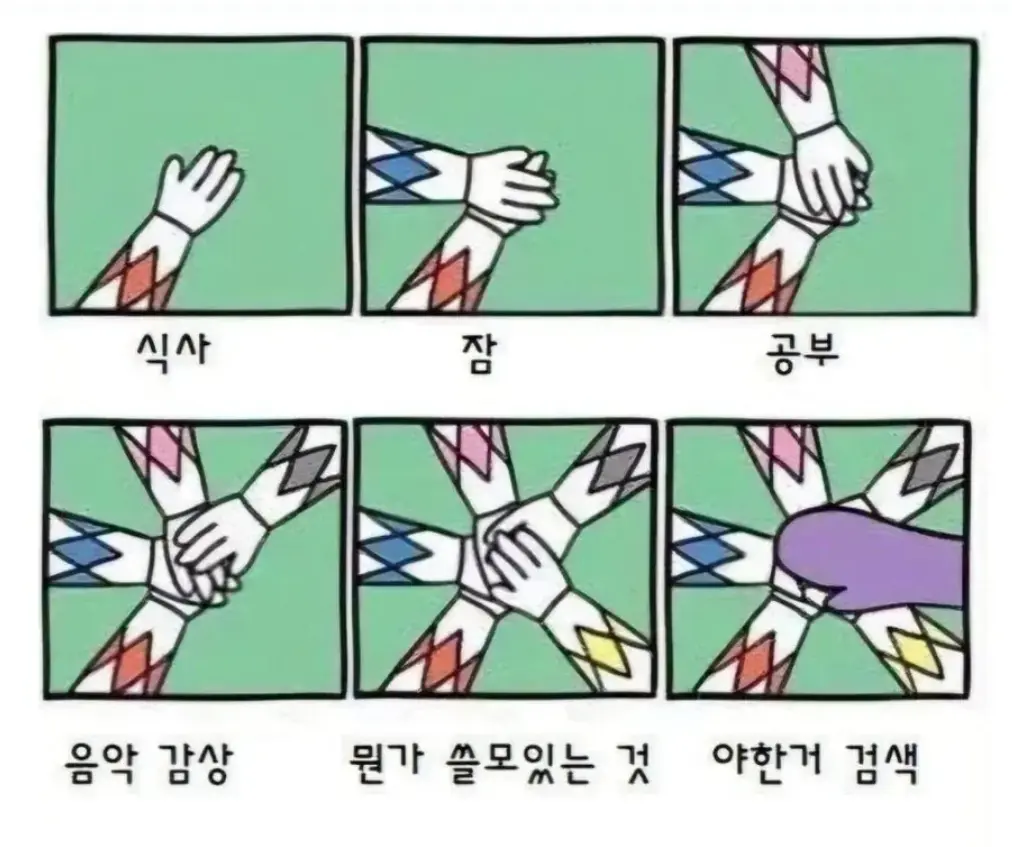 퀘이사존