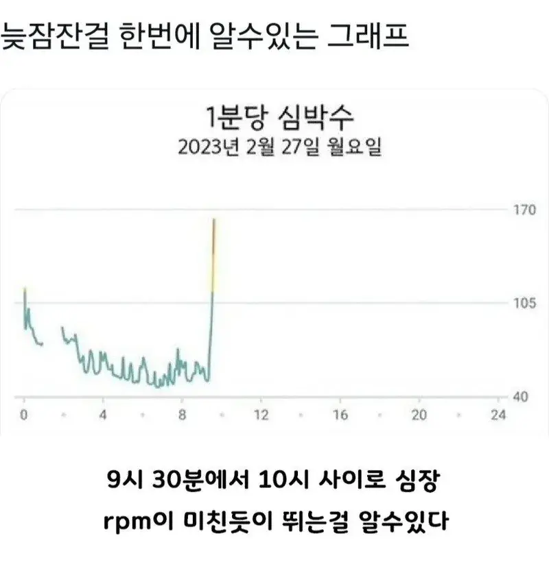 퀘이사존