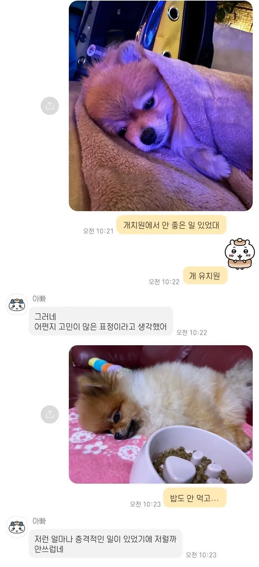 퀘이사존