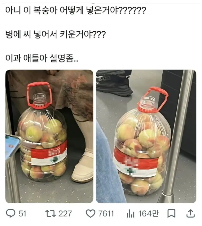 퀘이사존