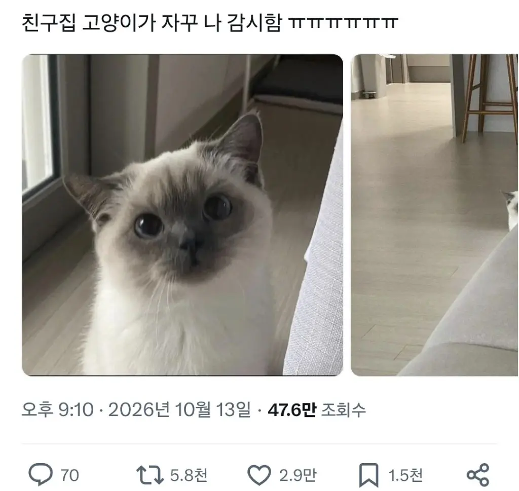 퀘이사존