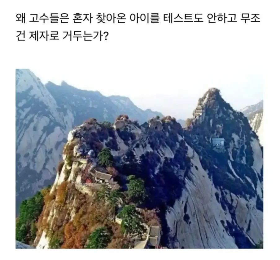 퀘이사존