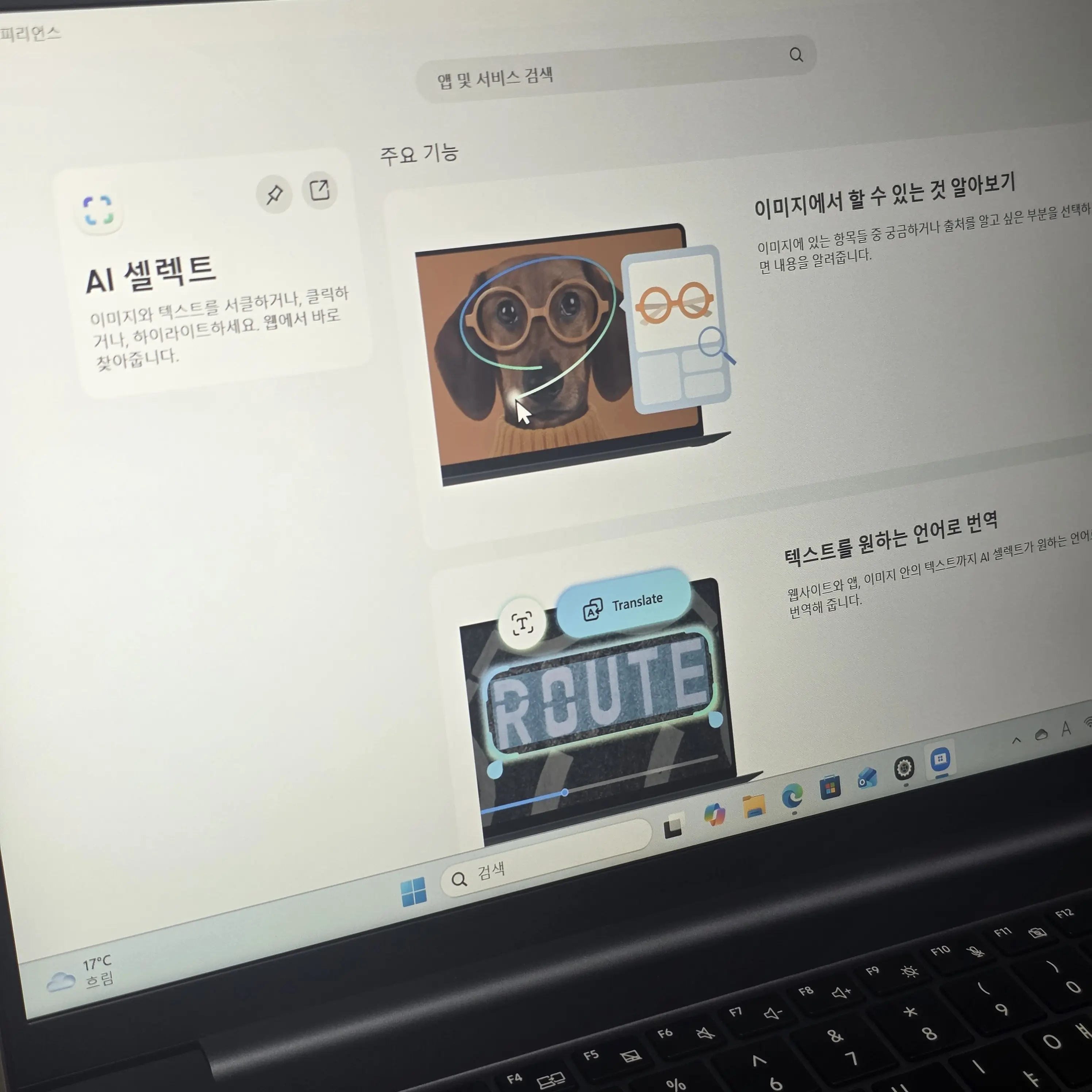 퀘이사존