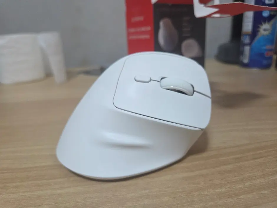 퀘이사존