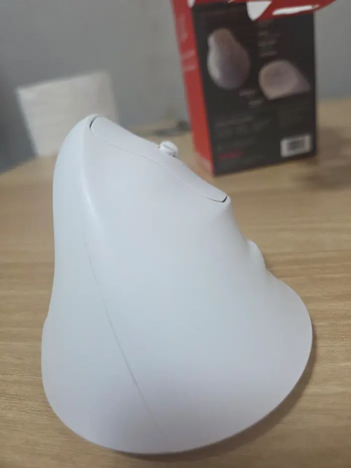 퀘이사존