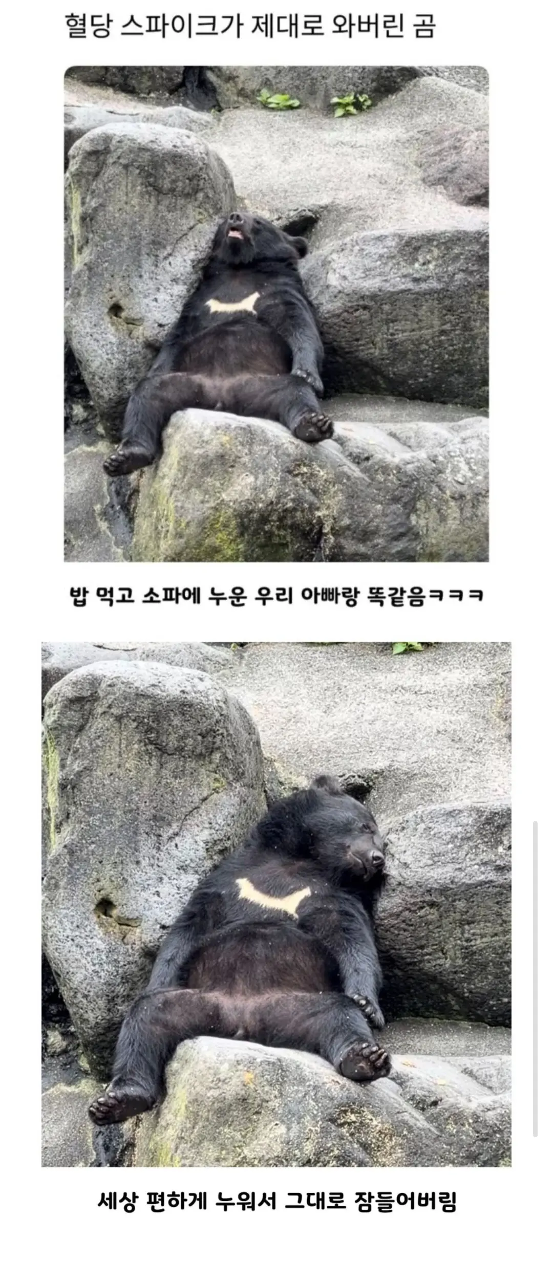 퀘이사존