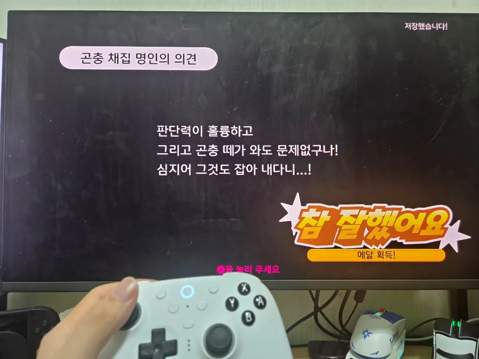 퀘이사존