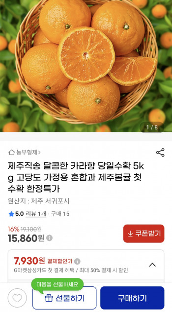 퀘이사존