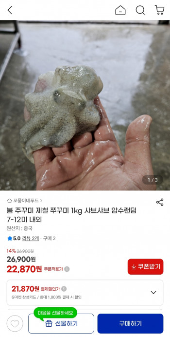 퀘이사존