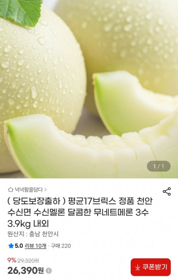 퀘이사존