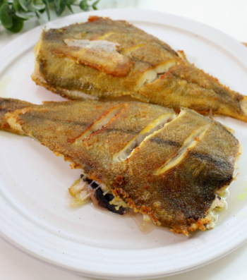 퀘이사존