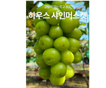 퀘이사존