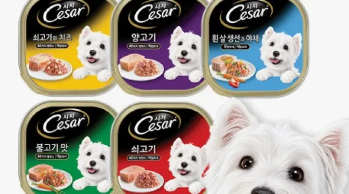 [기타] 시저 캔 100g x 24개 골라담기(+시저 배변봉투 + 리필)