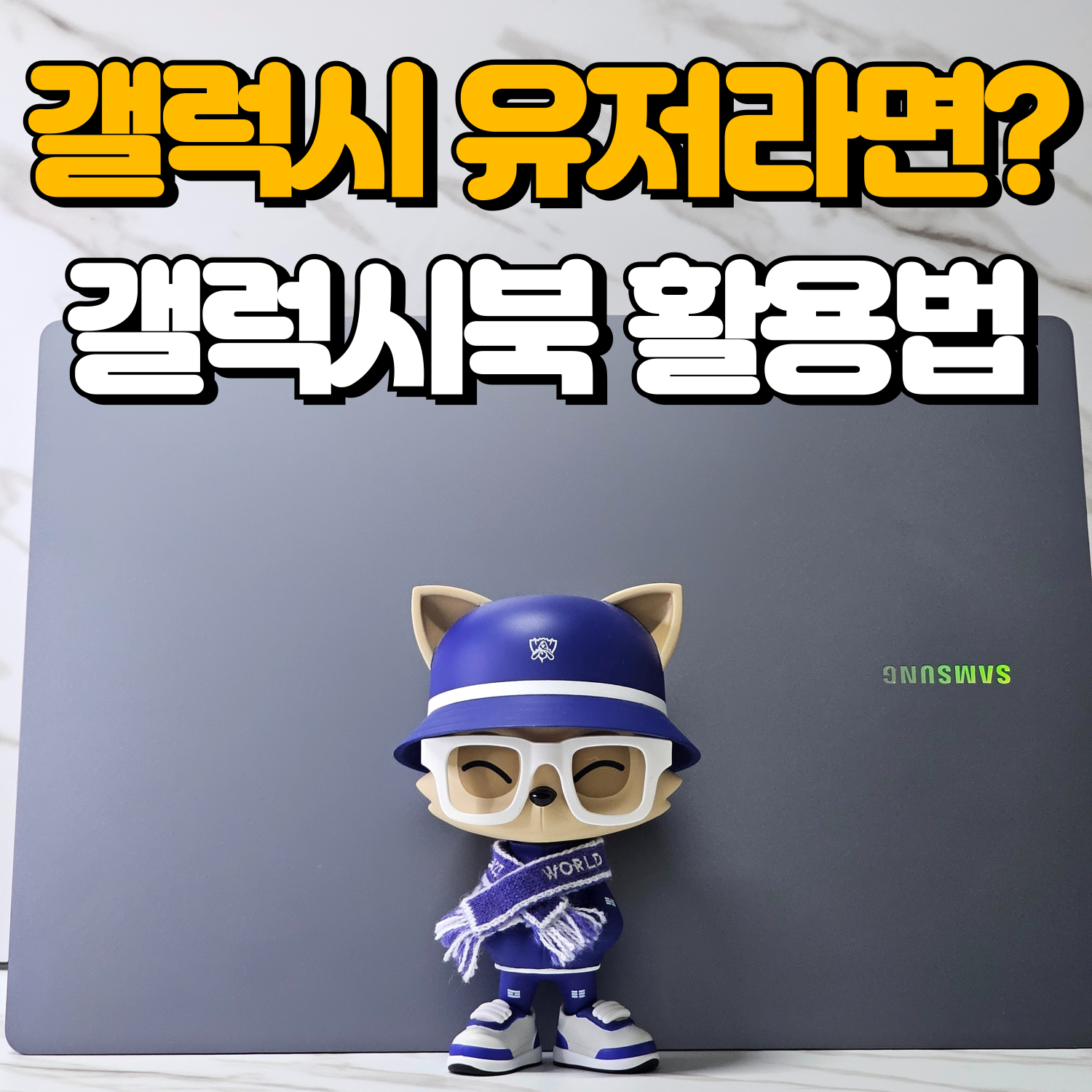 퀘이사존