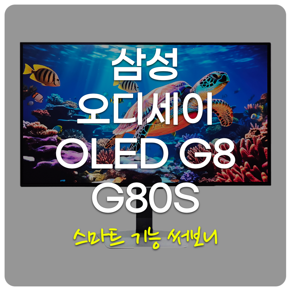 퀘이사존