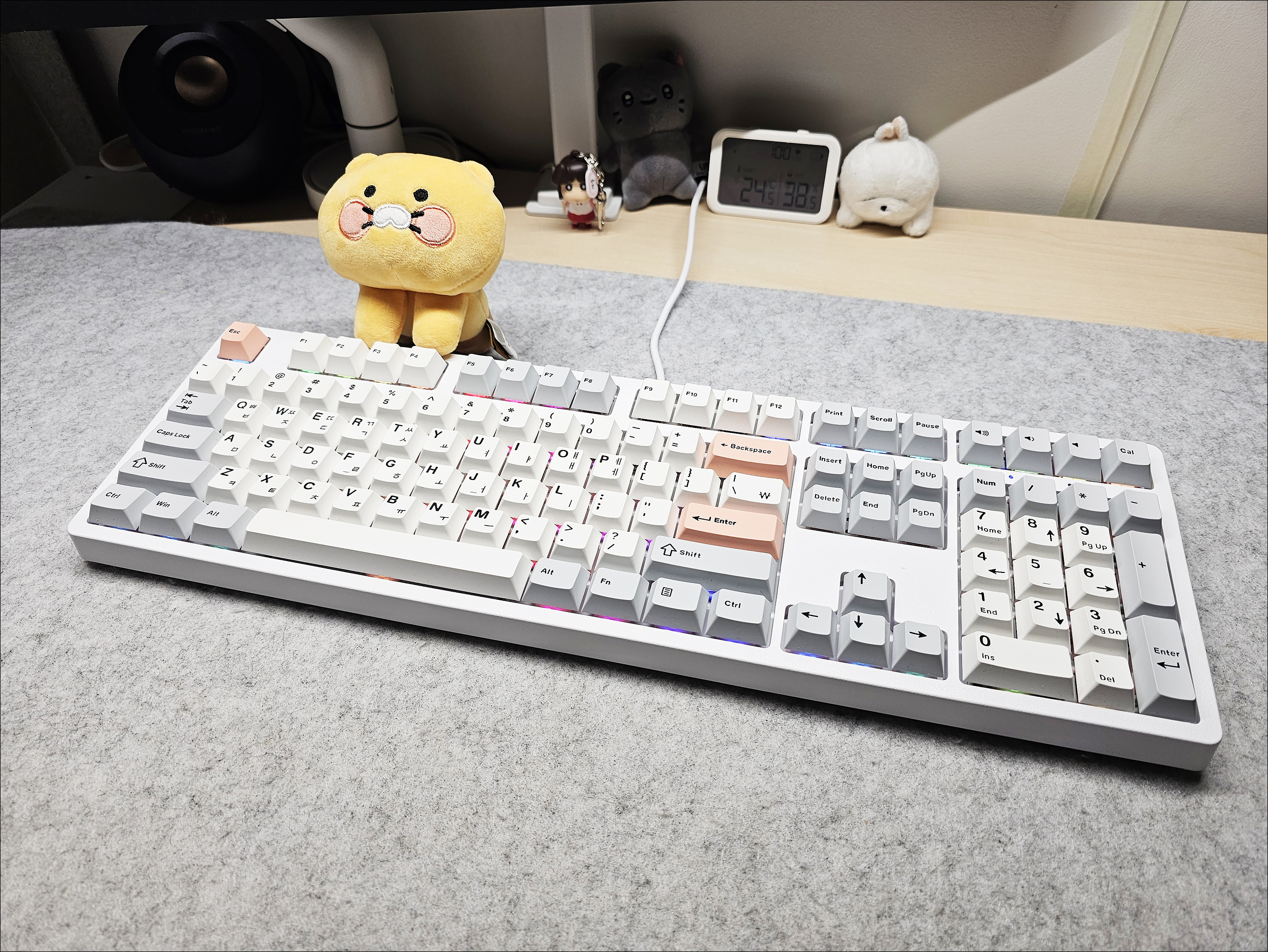 퀘이사존