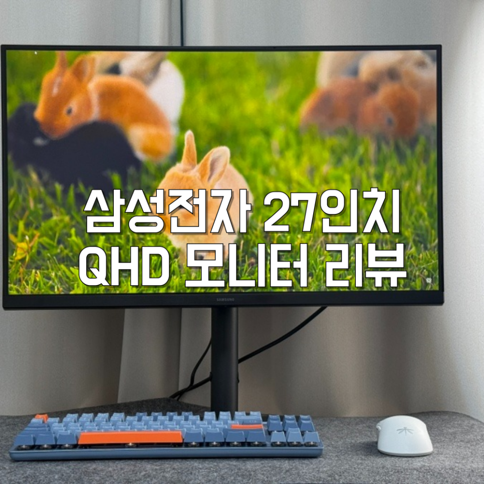 퀘이사존