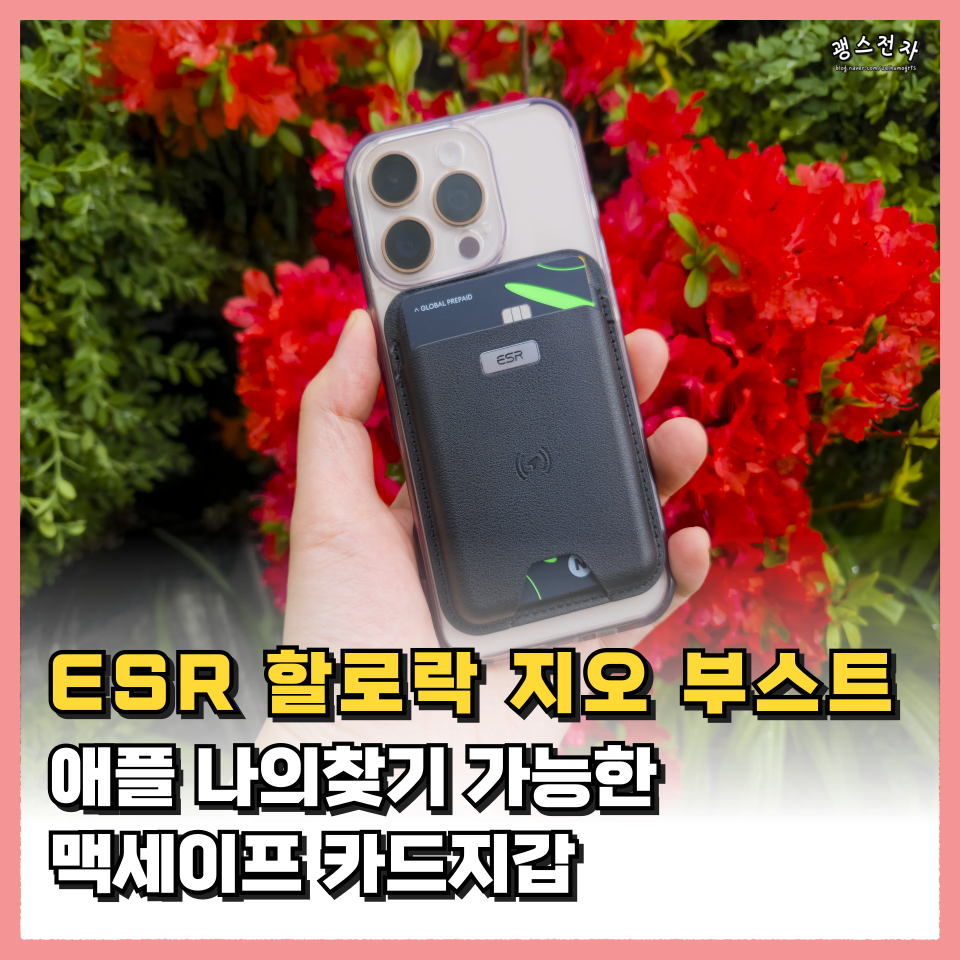 퀘이사존