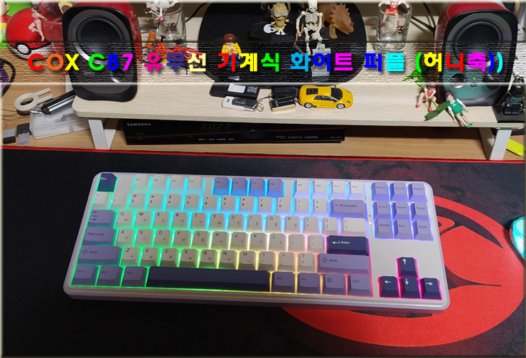 퀘이사존