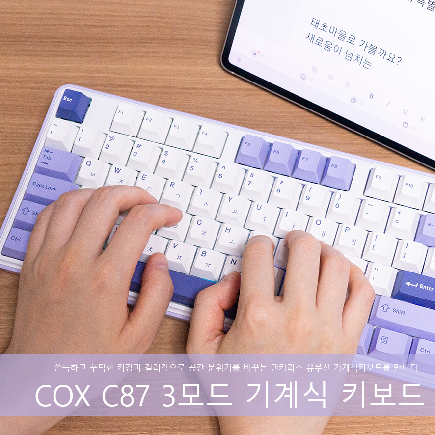 퀘이사존