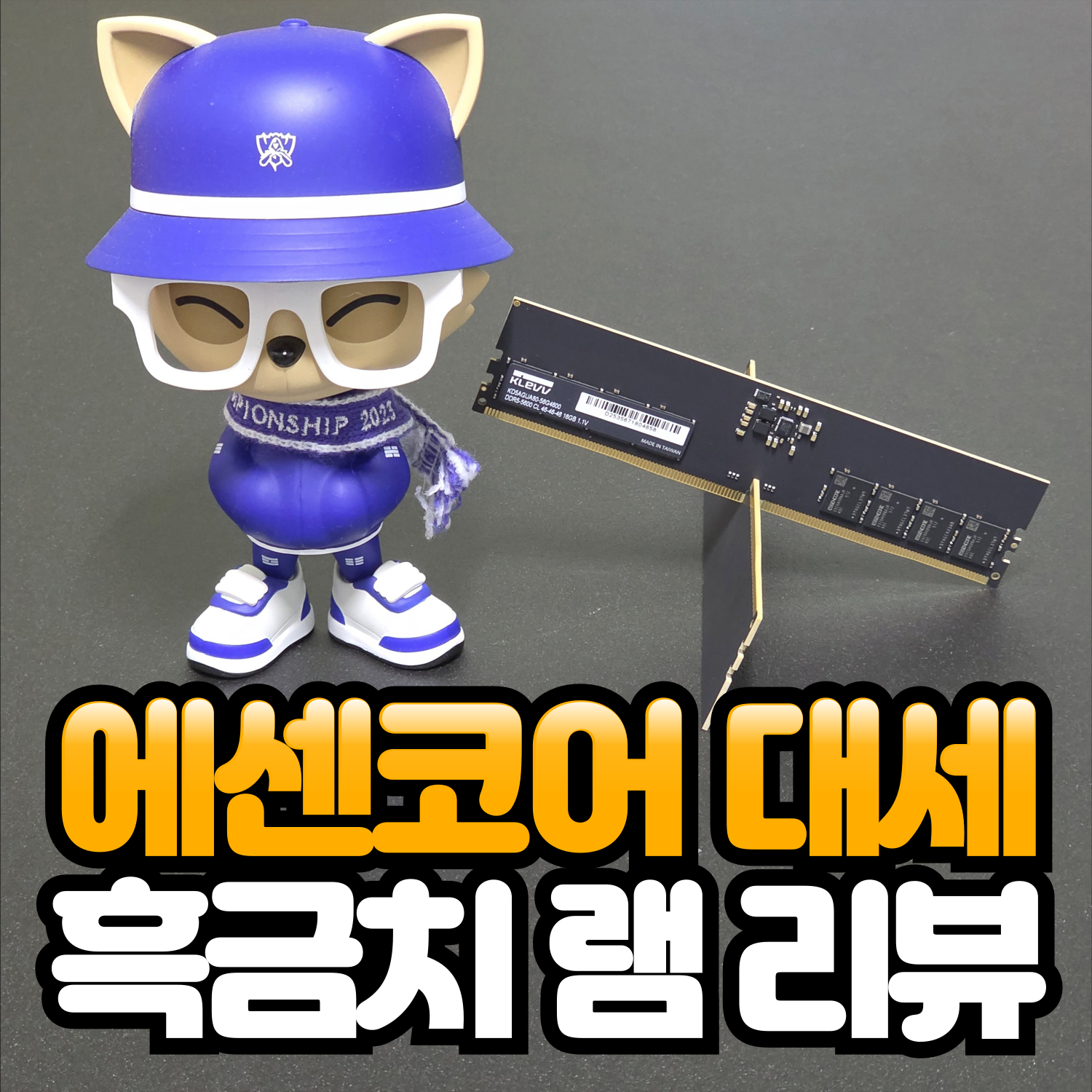 퀘이사존