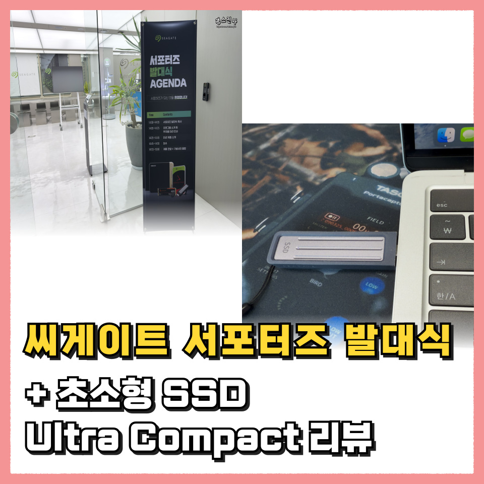 퀘이사존